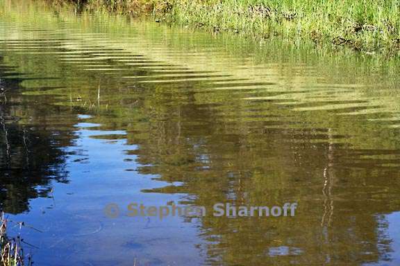 stream reflections 3715 2 graphic